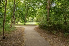 Foto 84.jpg